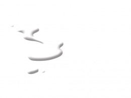 Image Peinture Pochoir en tube Arctique (blanc)