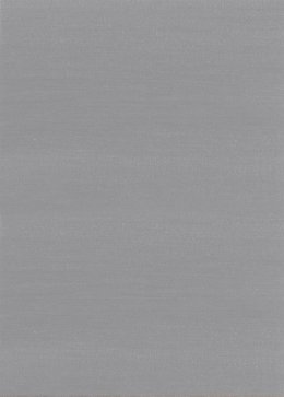 Image PERLE DE NACRE PLATINE