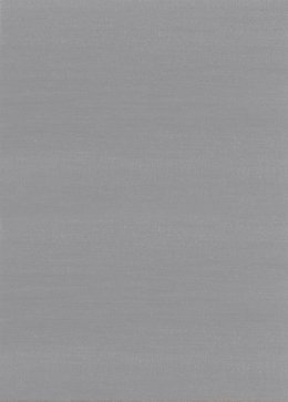 Image PERLE DE NACRE PLATIN