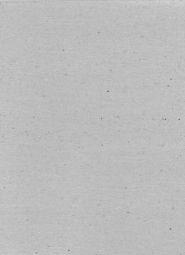 Image PAILLETT SILBER