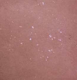 Image AUTHENTIC Krabbenrot