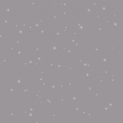 paillett_04_-_oscar