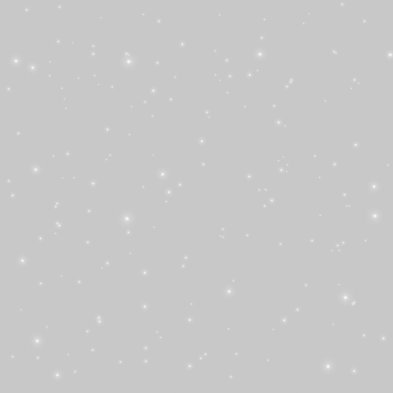 paillett_14_-_polar
